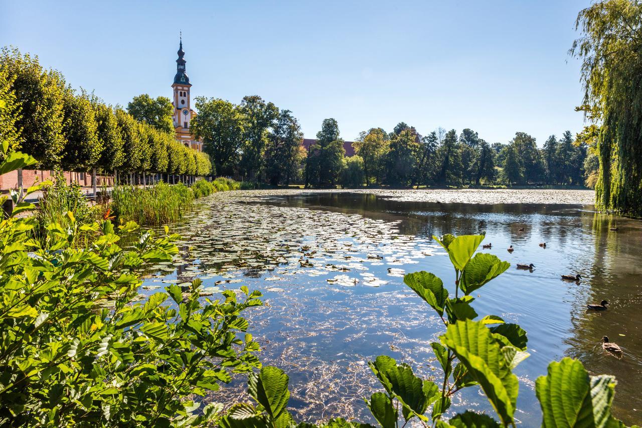 Hotel Prinz Albrecht Нойцелле Экстерьер фото